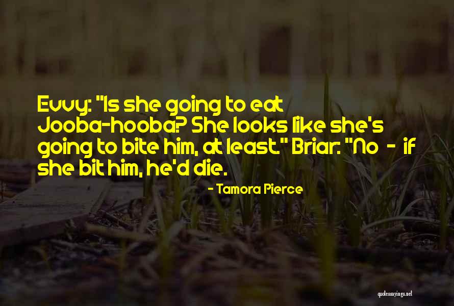 Hooba Quotes By Tamora Pierce Hooba Quotes By Tamora Pierce