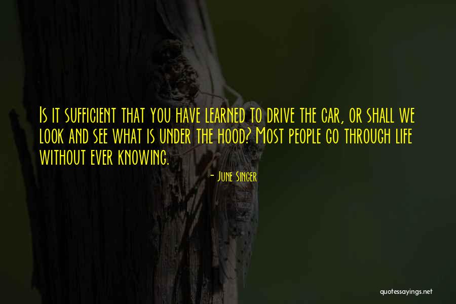 Hood Life Quotes By June Singer Hood Life Quotes By June Singer