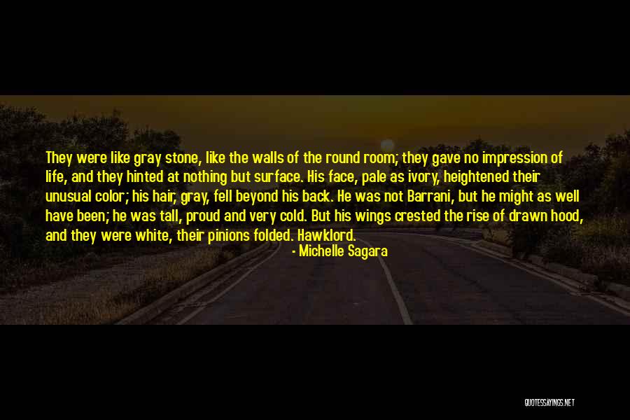 Hood Life Quotes By Michelle Sagara Hood Life Quotes By Michelle Sagara