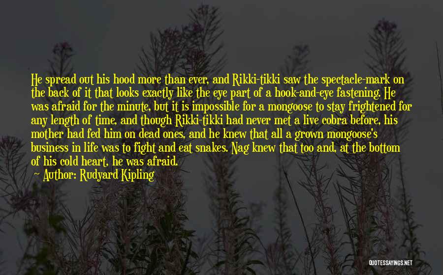 Hood Life Quotes By Rudyard Kipling