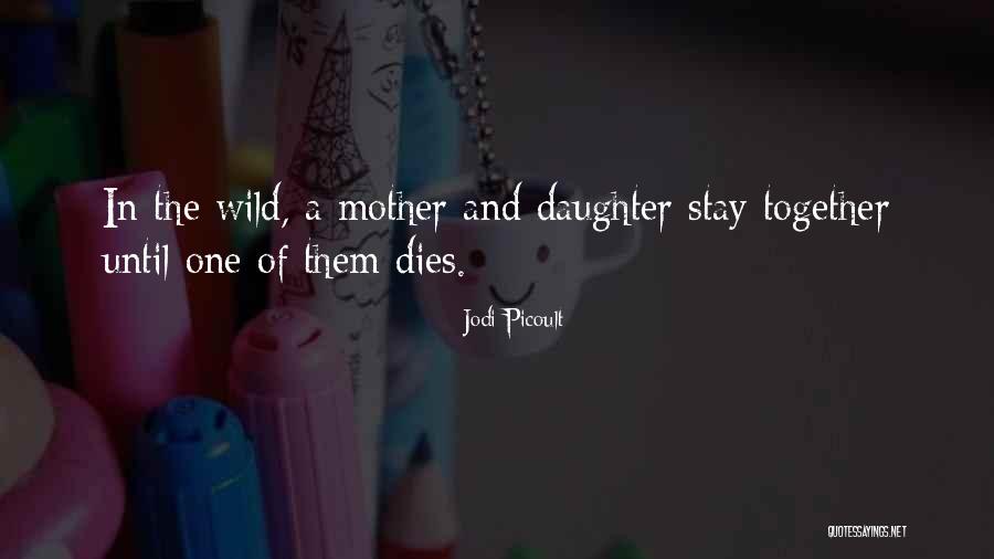 Hoodenpyle Quotes By Jodi Picoult Hoodenpyle Quotes By Jodi Picoult