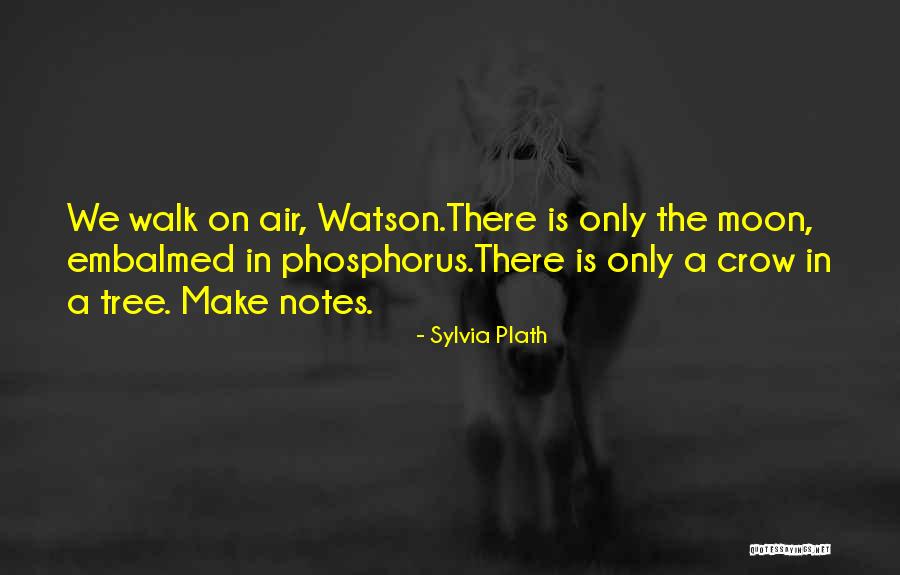 Hoodies With Camping Quotes By Sylvia Plath Hoodies With Camping Quotes By Sylvia Plath