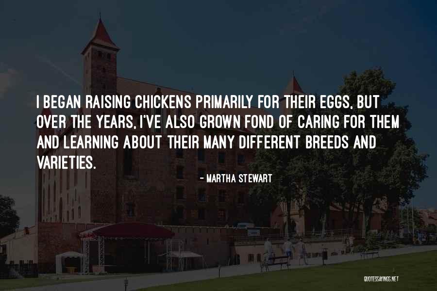 Hooey Clothing Quotes By Martha Stewart Hooey Clothing Quotes By Martha Stewart