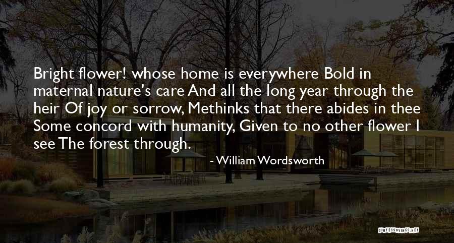 Hoogeboom Builders Quotes By William Wordsworth Hoogeboom Builders Quotes By William Wordsworth