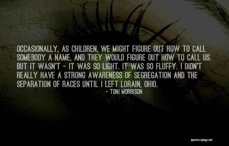 Hoogendoorn Law Quotes By Toni Morrison Hoogendoorn Law Quotes By Toni Morrison