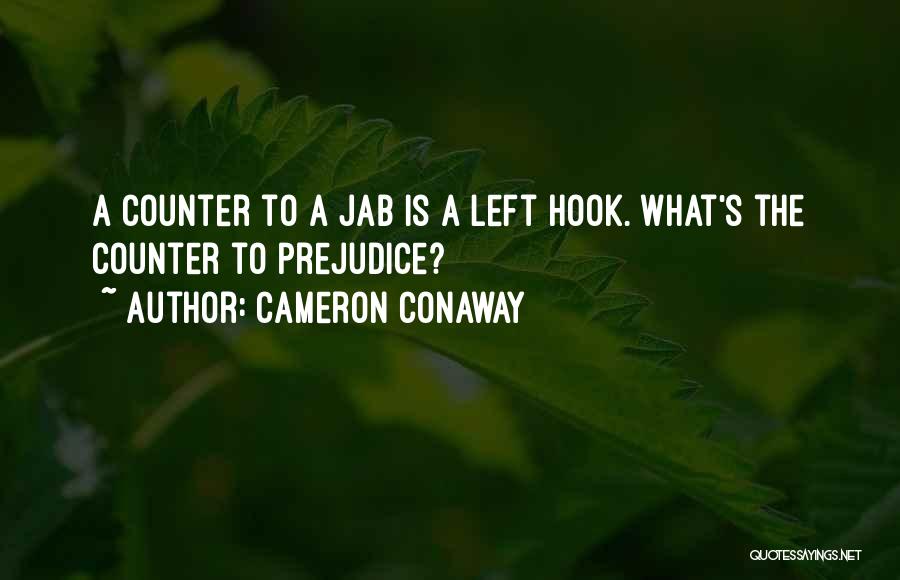 Hook Quotes By Cameron Conaway