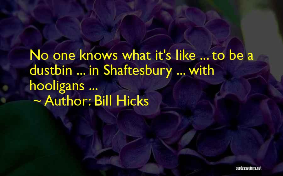 Hooligans Quotes By Bill Hicks