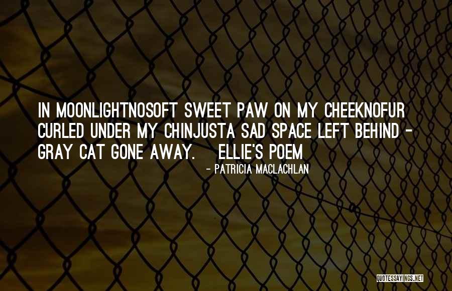 Hooped Petticoat Quotes By Patricia MacLachlan Hooped Petticoat Quotes By Patricia MacLachlan