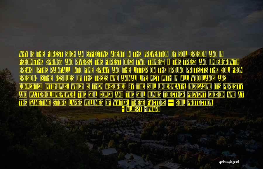 Hoopty Do Review Quotes By Albert Howard Hoopty Do Review Quotes By Albert Howard