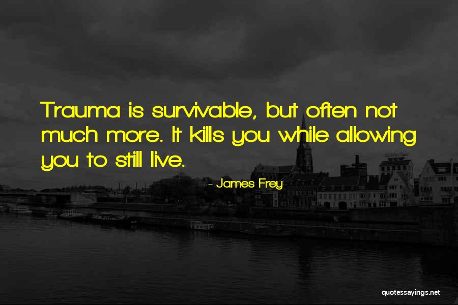 Hooraying Quotes By James Frey Hooraying Quotes By James Frey