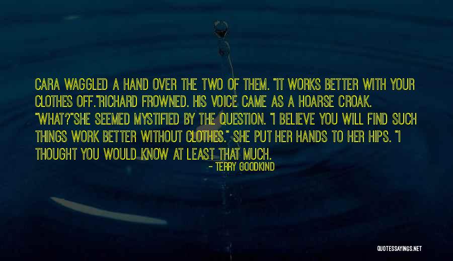Hooshang Amirahmadi Quotes By Terry Goodkind Hooshang Amirahmadi Quotes By Terry Goodkind