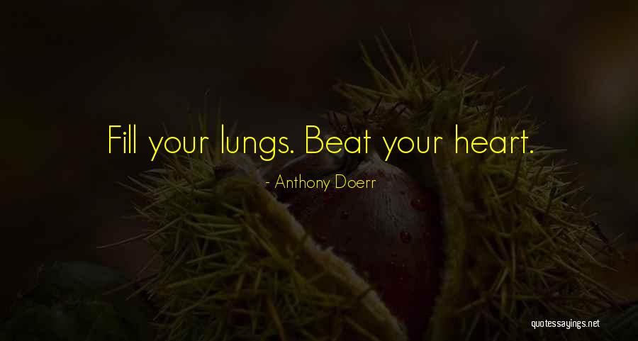 Hootsuite How To Use Quotes By Anthony Doerr