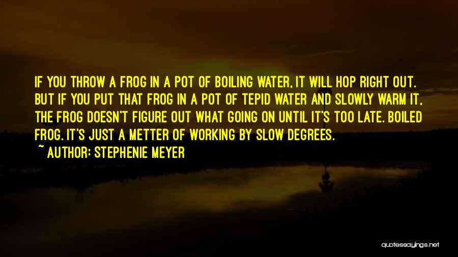 Hop Frog Quotes By Stephenie Meyer