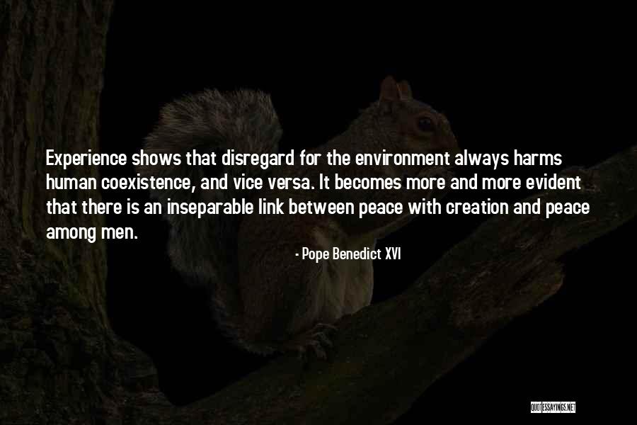 Hop Frog Story Quotes By Pope Benedict XVI Hop Frog Story Quotes By Pope Benedict XVI