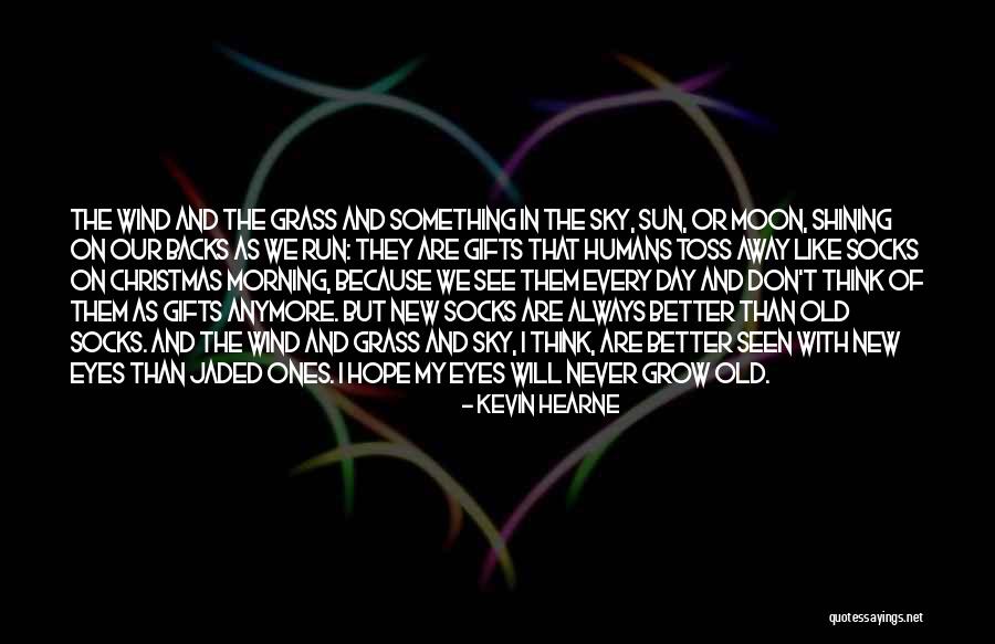 Hope And Christmas Quotes By Kevin Hearne