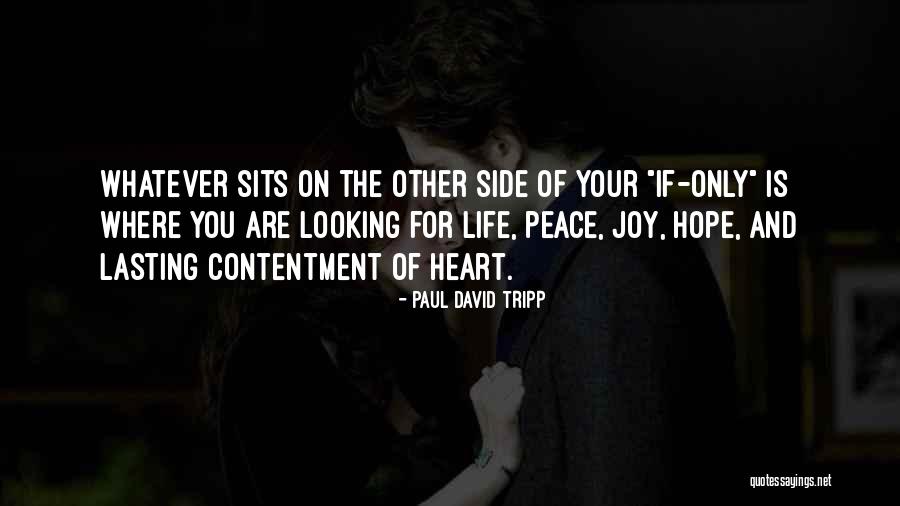 Hope And Joy Quotes By Paul David Tripp Hope And Joy Quotes By Paul David Tripp
