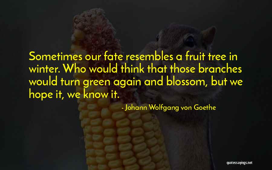Hope And Leadership Quotes By Johann Wolfgang Von Goethe Hope And Leadership Quotes By Johann Wolfgang Von Goethe