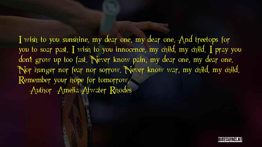 Hope And Pray Quotes By Amelia Atwater-Rhodes