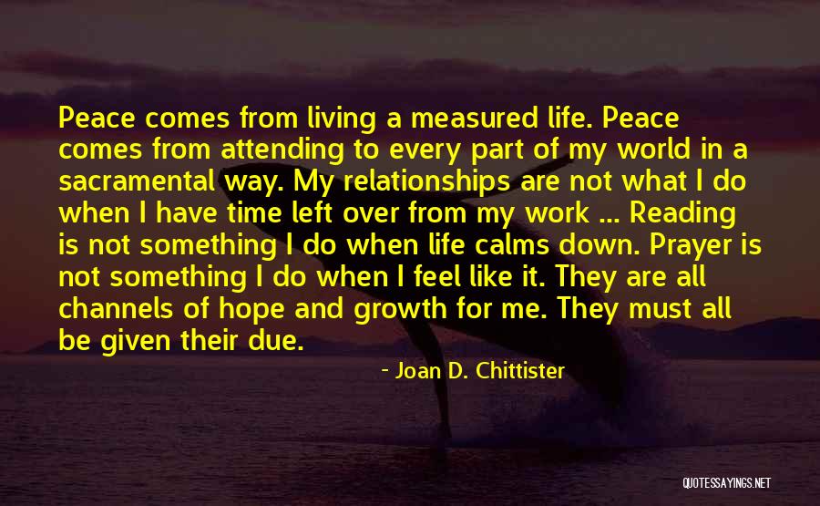 Hope And Prayer Quotes By Joan D. Chittister