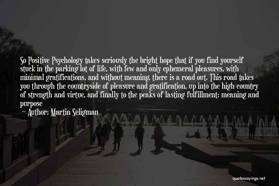 Hope And Quotes By Martin Seligman