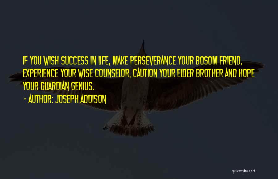 Hope And Success Quotes By Joseph Addison
