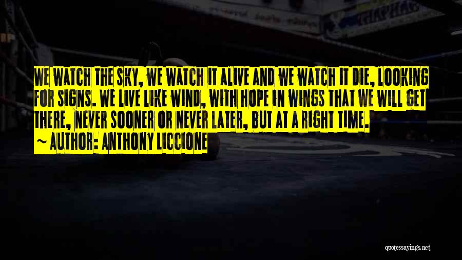 Hope And Wings Quotes By Anthony Liccione