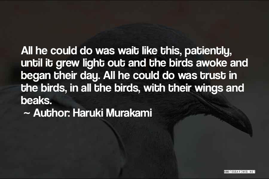 Hope And Wings Quotes By Haruki Murakami