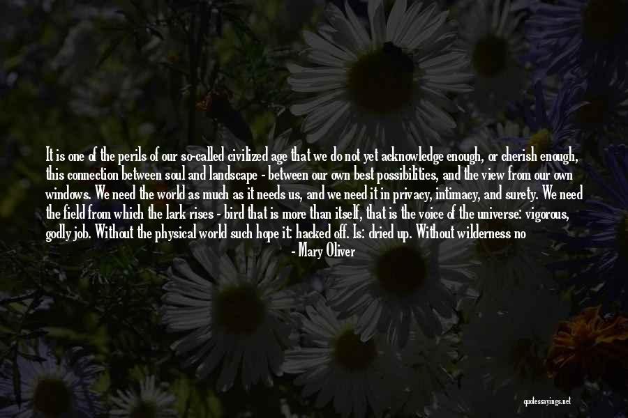 Hope And Wings Quotes By Mary Oliver