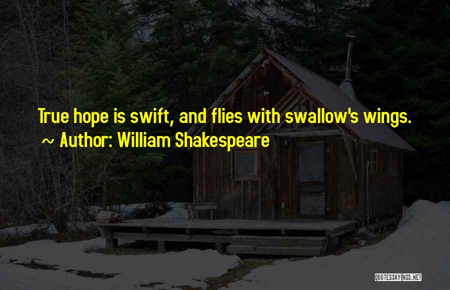Hope And Wings Quotes By William Shakespeare