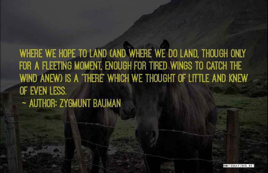 Hope And Wings Quotes By Zygmunt Bauman