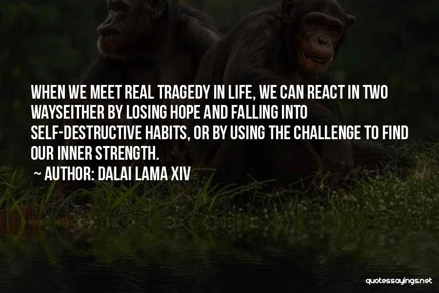 Hope Dalai Lama Quotes By Dalai Lama XIV