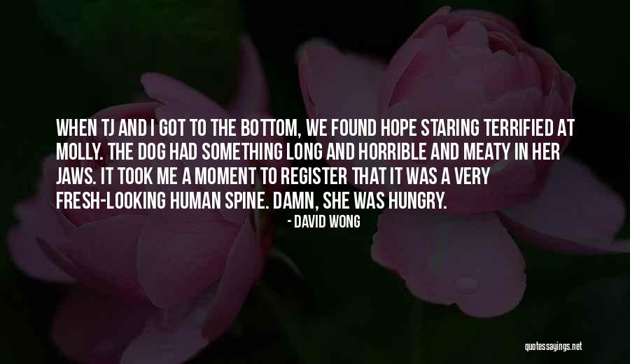 Hope Damn Hope Quotes By David Wong Hope Damn Hope Quotes By David Wong