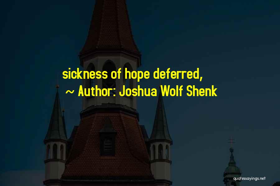 Hope Deferred Quotes By Joshua Wolf Shenk
