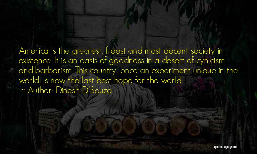 Hope For America Quotes By Dinesh D'Souza