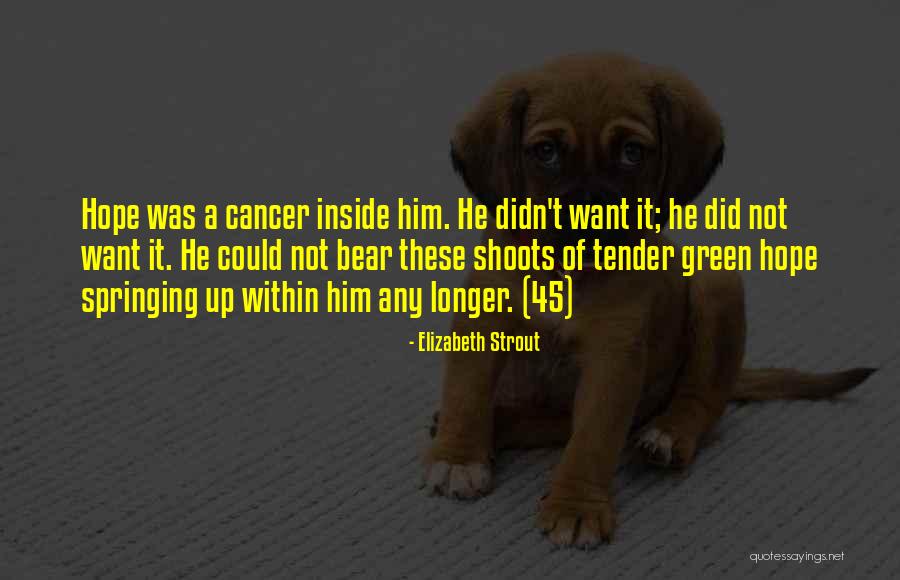 Hope For Cancer Quotes By Elizabeth Strout Hope For Cancer Quotes By Elizabeth Strout