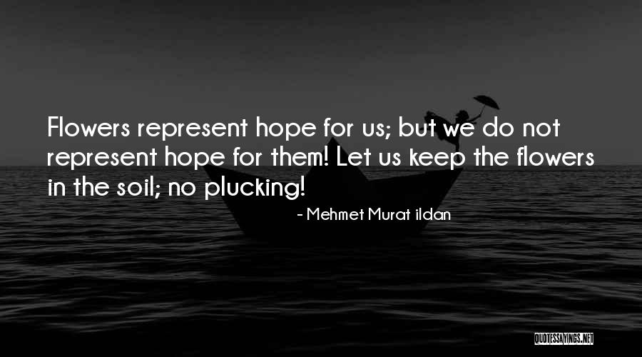 Hope For Flowers Quotes By Mehmet Murat Ildan Hope For Flowers Quotes By Mehmet Murat Ildan