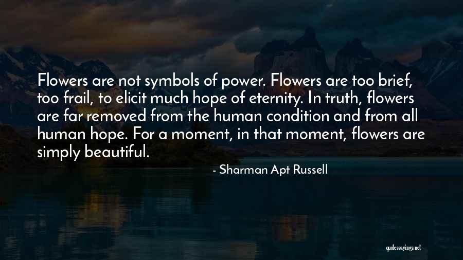 Hope For Flowers Quotes By Sharman Apt Russell Hope For Flowers Quotes By Sharman Apt Russell