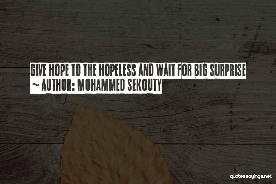 Hope For Hopeless Quotes By Mohammed Sekouty