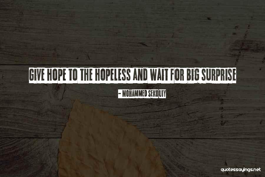 Hope For The Hopeless Quotes By Mohammed Sekouty Hope For The Hopeless Quotes By Mohammed Sekouty