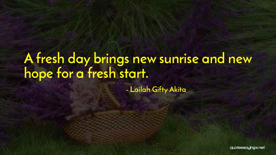 Hope For The New Year Quotes By Lailah Gifty Akita