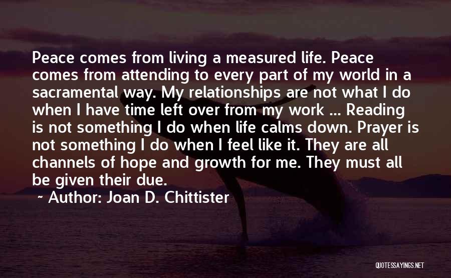 Hope For World Peace Quotes By Joan D. Chittister