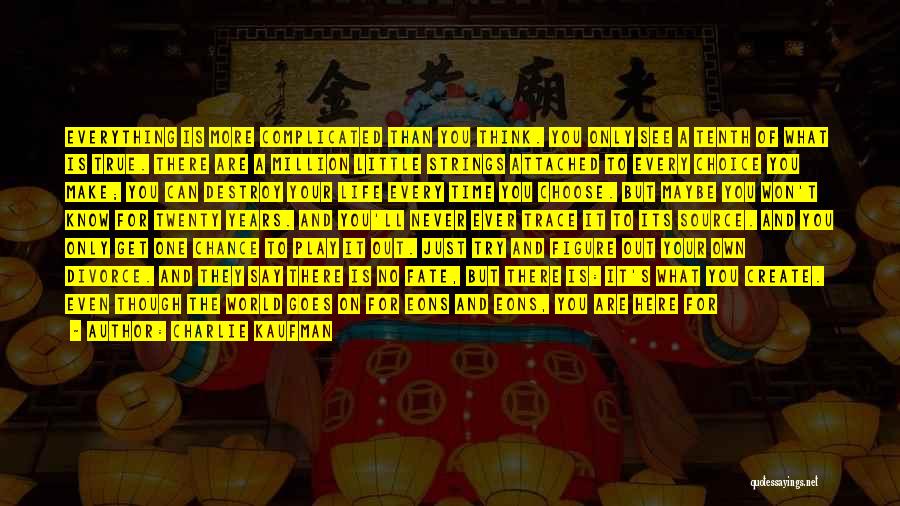 Hope I'm Not Wasting My Time Quotes By Charlie Kaufman