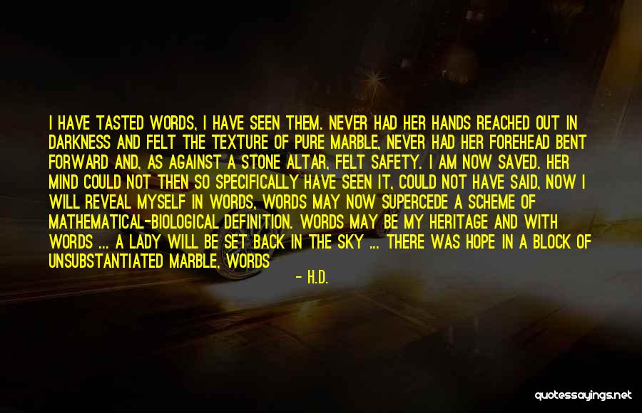Hope In Darkness Quotes By H.D. Hope In Darkness Quotes By H.D.