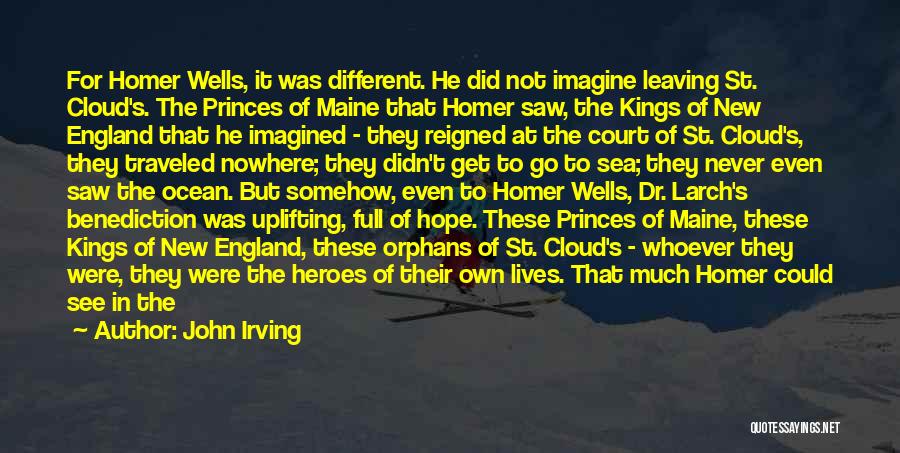 Hope In Darkness Quotes By John Irving