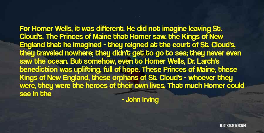 Hope In Darkness Quotes By John Irving