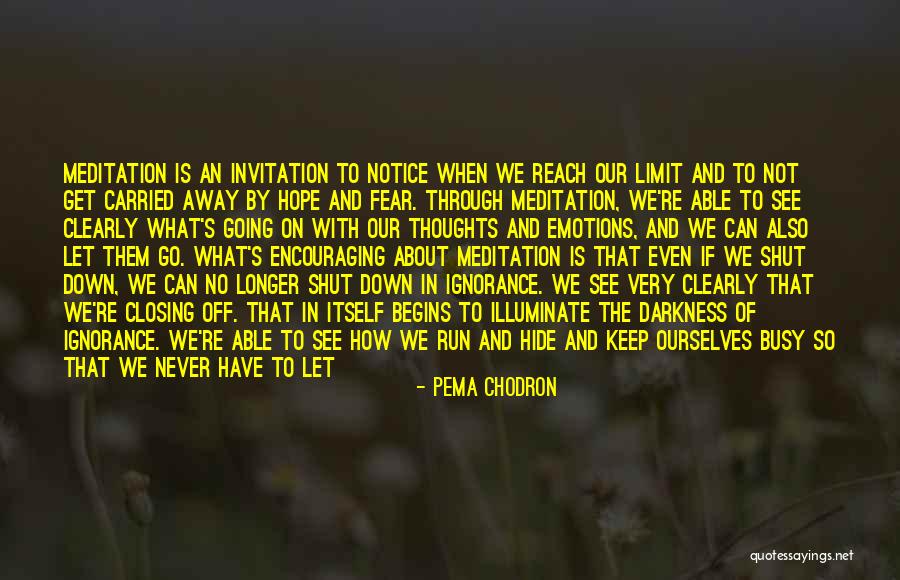 Hope In Darkness Quotes By Pema Chodron