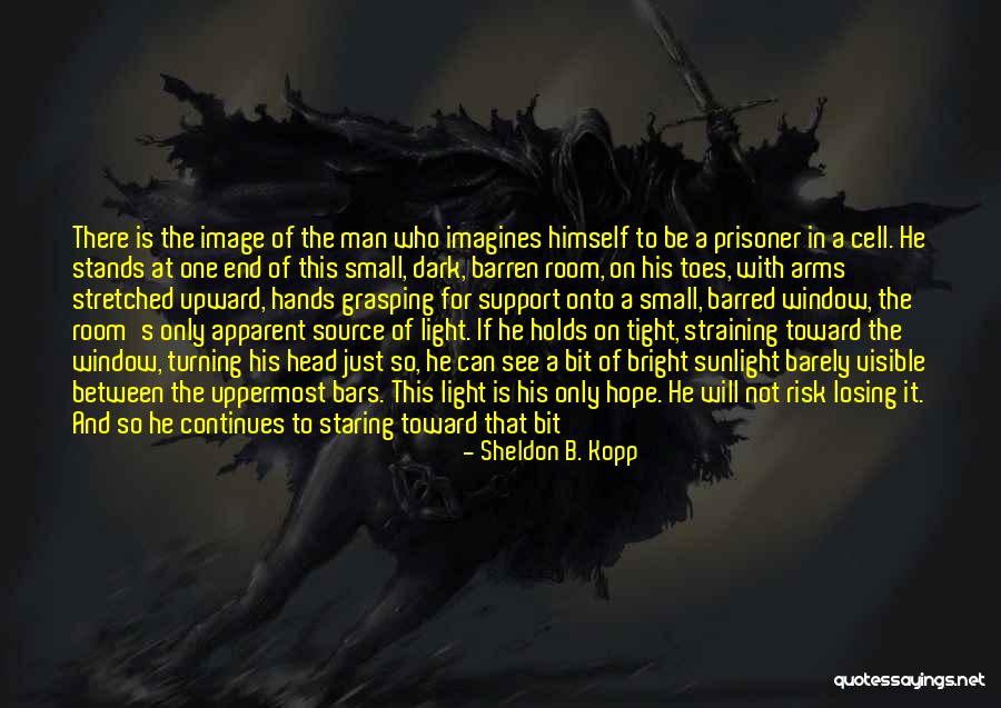 Hope In Darkness Quotes By Sheldon B. Kopp