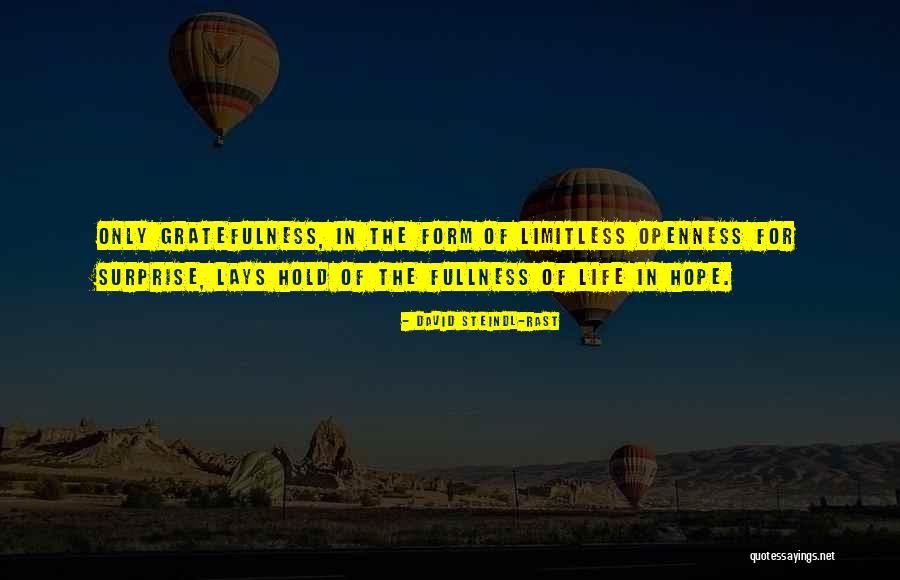 Hope In Life Quotes By David Steindl-Rast Hope In Life Quotes By David Steindl-Rast