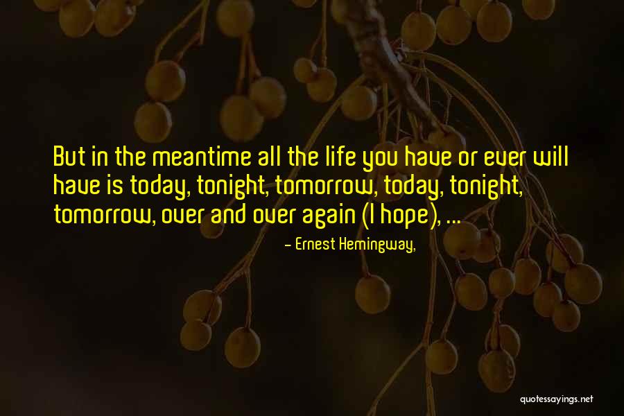 Hope In Life Quotes By Ernest Hemingway,