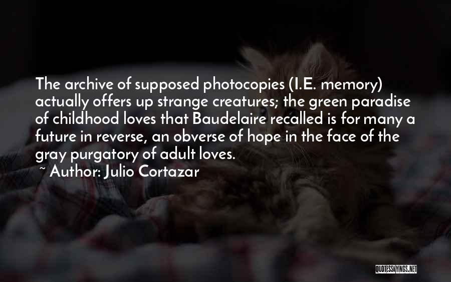 Hope In The Future Quotes By Julio Cortazar